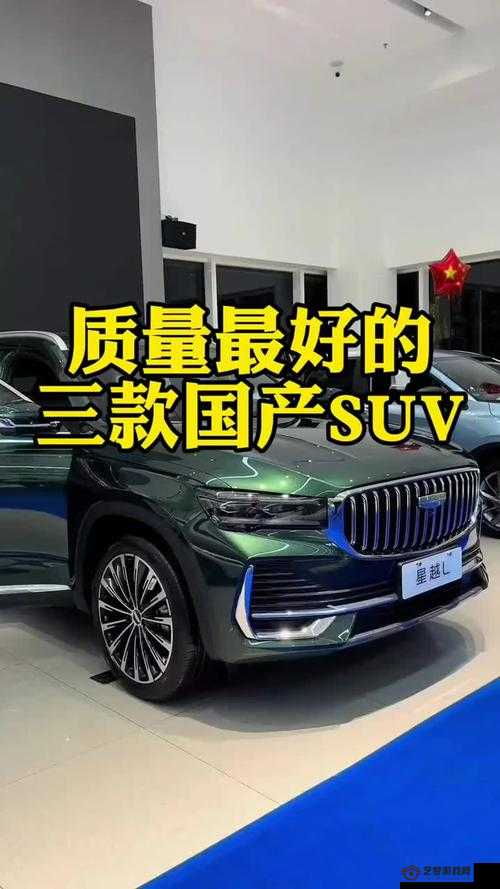 国产 SUV 精二区 69：高性价比之选，你值得拥有